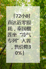 72小时直达近零损耗，泰国榴莲坐“冷气专列”入蓉，售价降30%